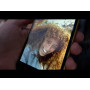 "Смартфон Apple iPhone 11 128 ГБ (PRODUCT) RED"