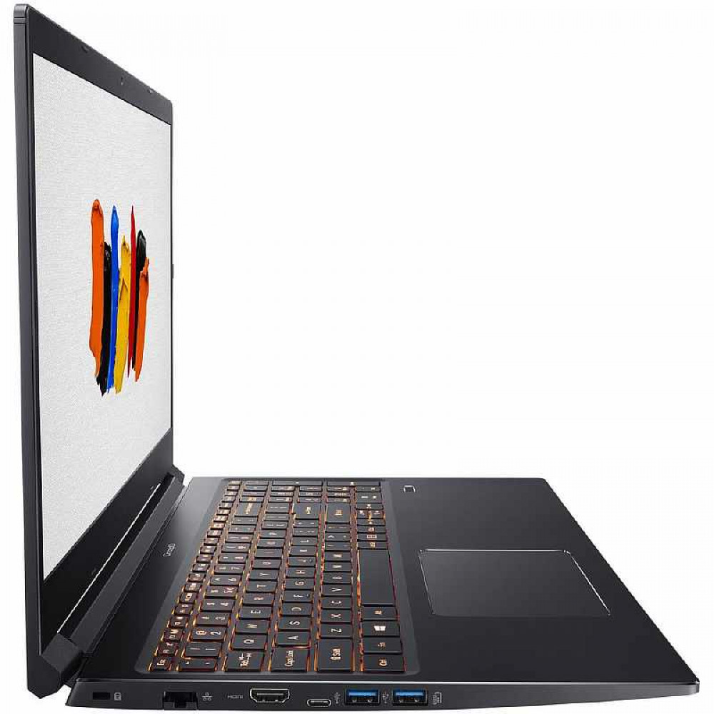 Ноутбук Acer ConceptD 3 Pro CN315-71P-79C6 Black (NX.C50ER.001)