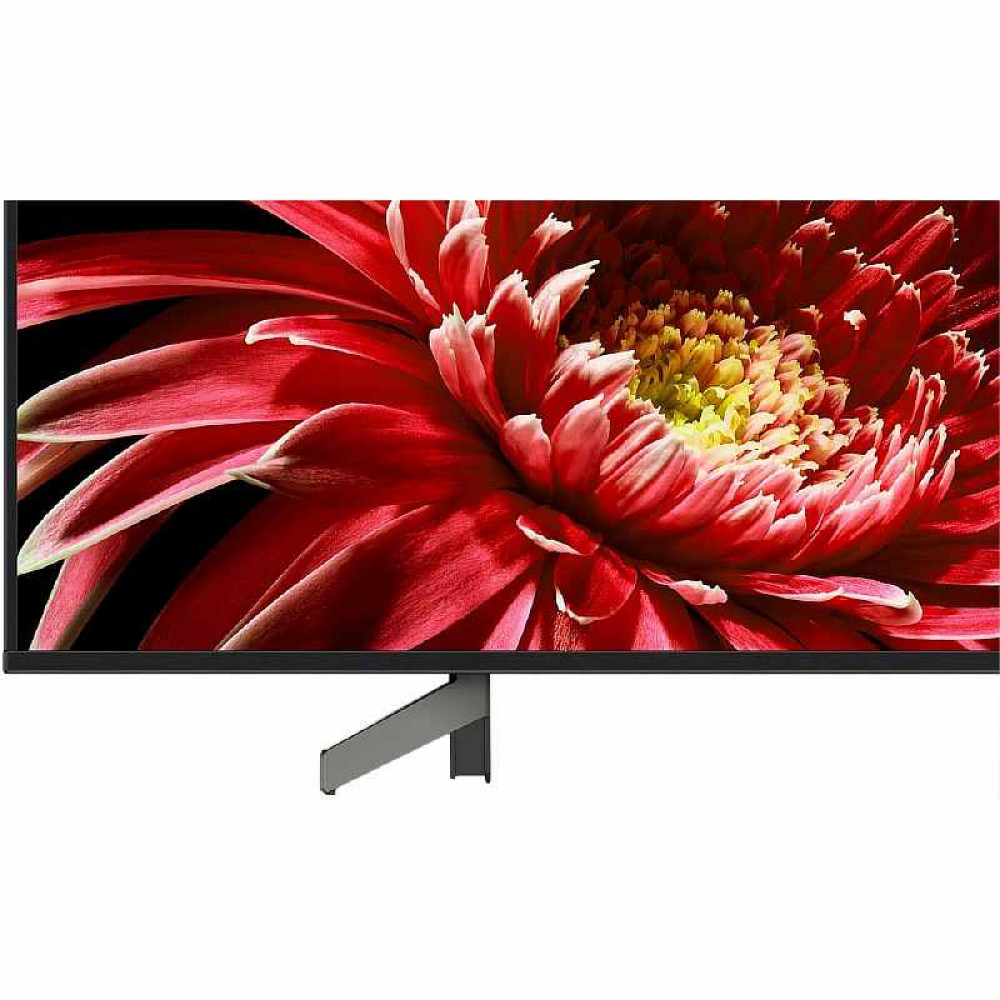 Телевизор Sony KD-55XG8596