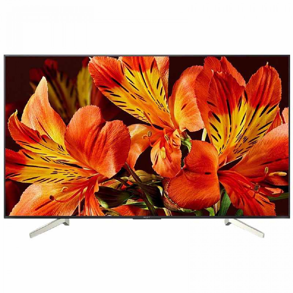 Телевизор Sony KD75XF8596